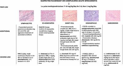 Immunomodulating Therapies in Acute Myocarditis and Recurrent/Acute Pericarditis